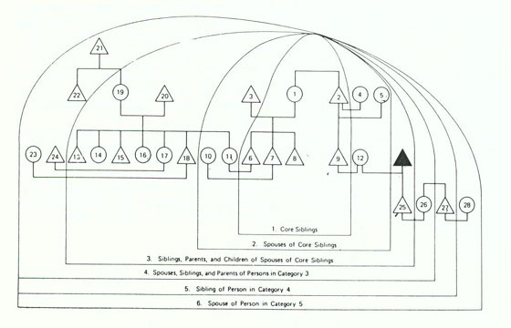 Abbildung 17: Tatsächliche Entwicklung des Dobe-Hauptlagers nach dem bilateralen Kettenprinzip mit mehreren Generationen bis 1964 (aus Lee 1984, 59).