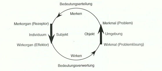 Abbildung 1: Der Funktionskreis von Jakob von Uexküll als Modell der Subjekt-Objekt-Beziehung im Tierreich (nach Wehrt und Uexküll 1996: 235)