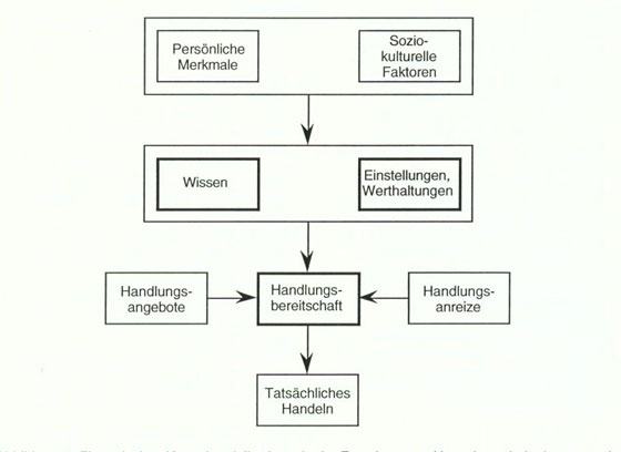 Abbildung 8: Ein typisches Kausalmodell, wie es in der Forschung zur Umweltpsychologie verwendet wird (nach Nauser 1993: 232)
