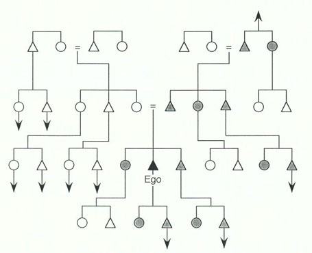 Abbildung 7: Patrilineare Deszendenz. Kreis = weibliches Individuum, Dreieck = männliches Individuum. Die Gleichheitszeichen zeigen die Ehebeziehung der Eltern und Grosseltern von Ego an. Die schattierten Symbole bezeichnen patrilineare Verwandte (aus Grohs-Paul und Paul 1981, 107)